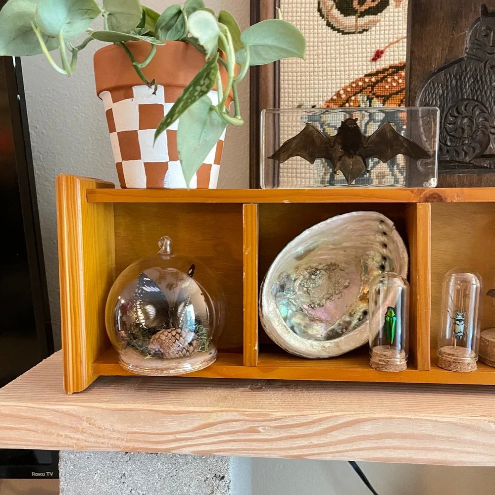 VTG Wood Wall Display Trinket Shelf 32x7x3 Cottagecore Grannycore Farmhouse